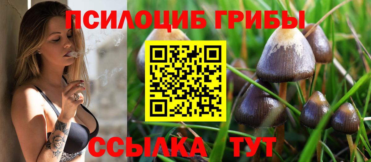 цена наркотик  Псилоцибиновые грибы GOLDEN TEACHER  Вход с VPN  Орехово-Зуево 